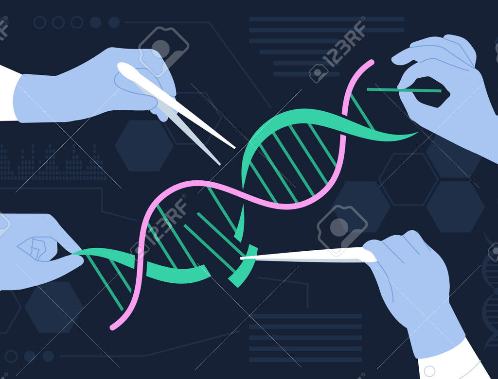 reprogramación, envejecimiento, yamanaka
